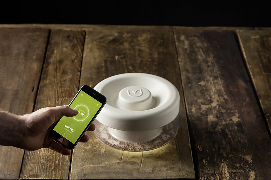 Suitable environment，Bean sprouts，grow，remote control，