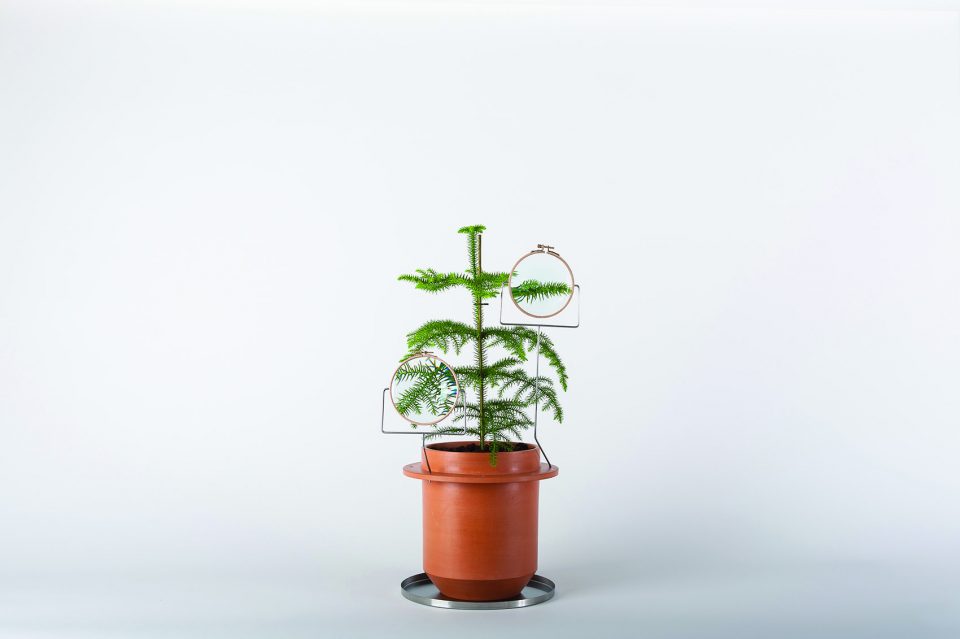 Italy，Flowerpot，Botany，