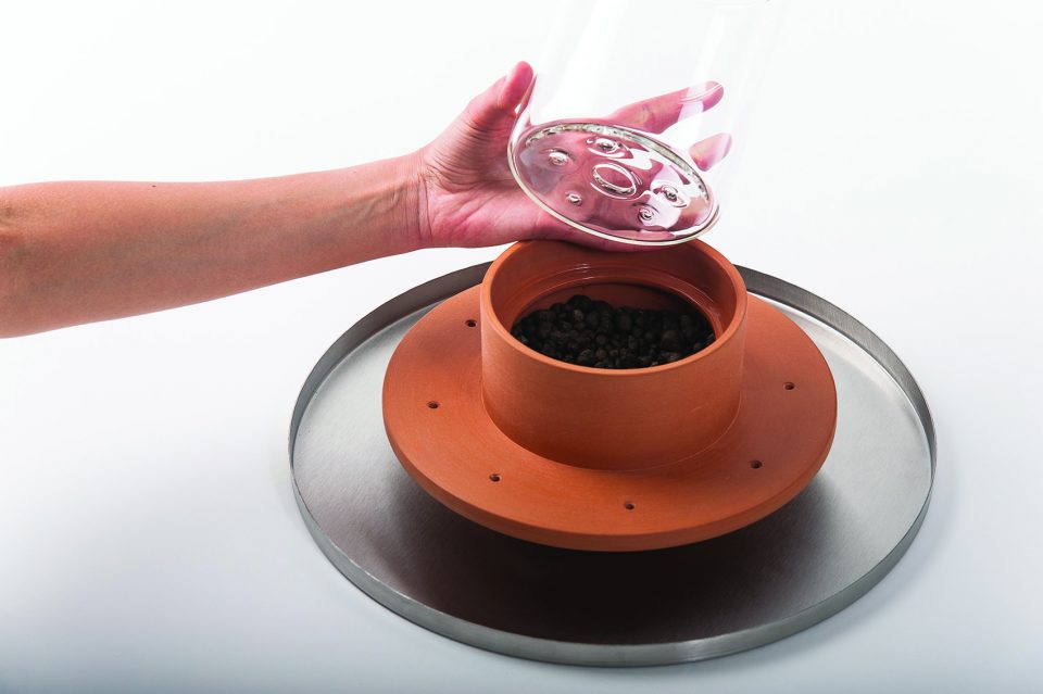 Italy，Flowerpot，Botany，