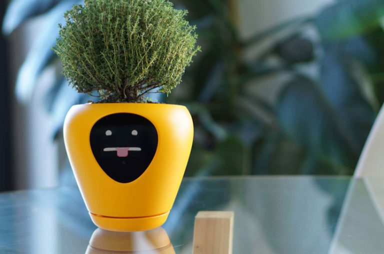 Botany，intelligence，Flowerpot，