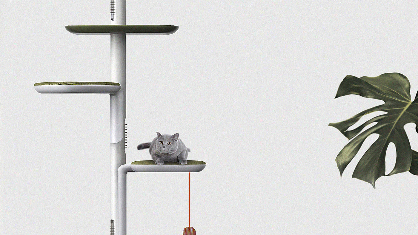 cat，Cat tower，clean，intelligence，