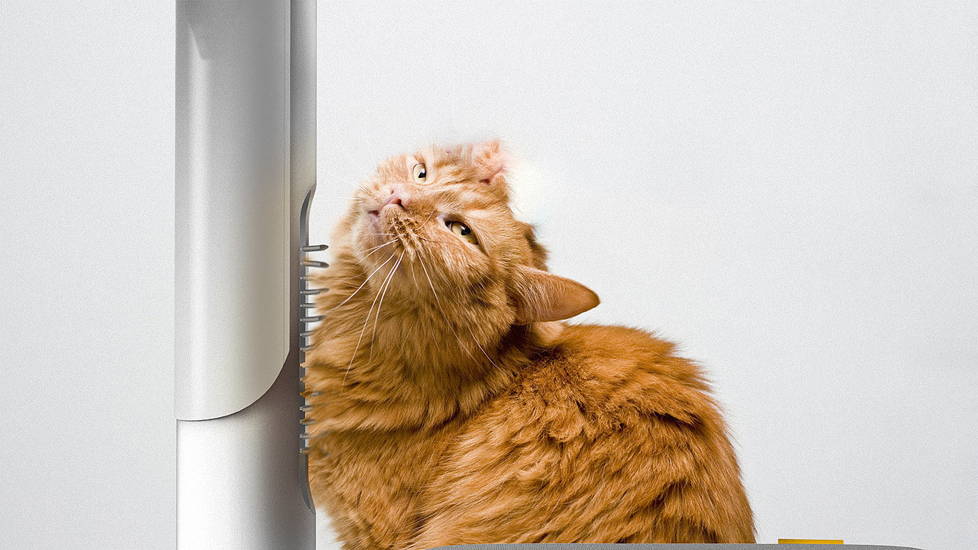 cat，Cat tower，clean，intelligence，