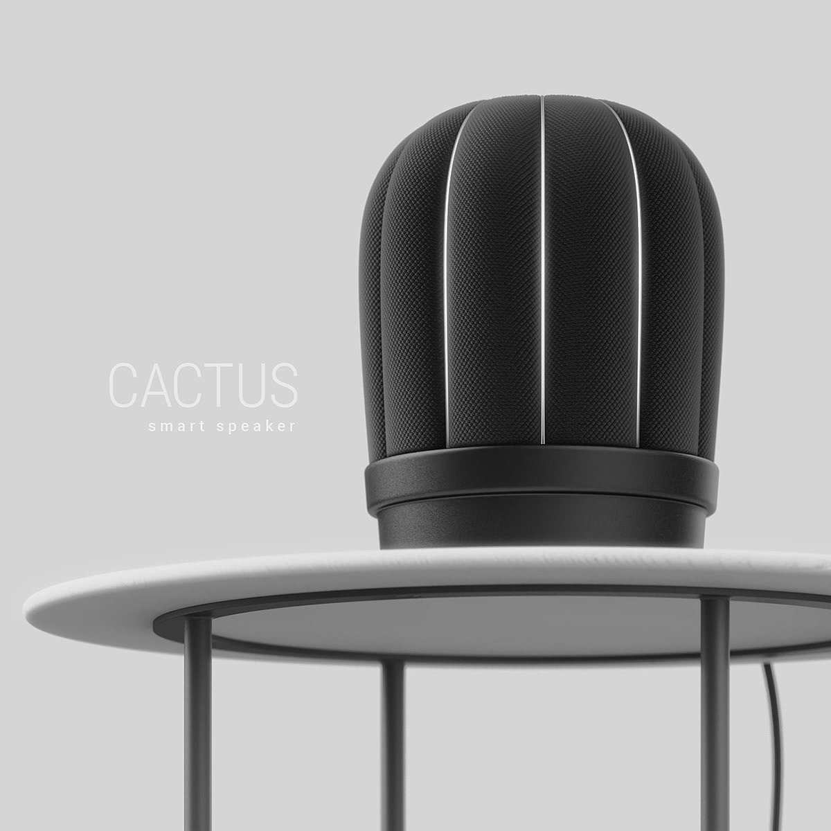 loudspeaker box，black，cactus，intelligence，