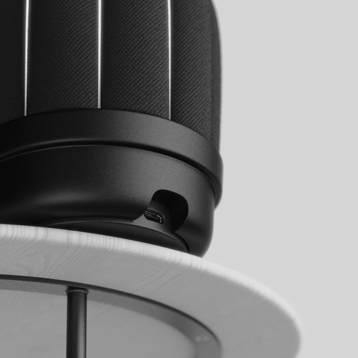 loudspeaker box，black，cactus，intelligence，