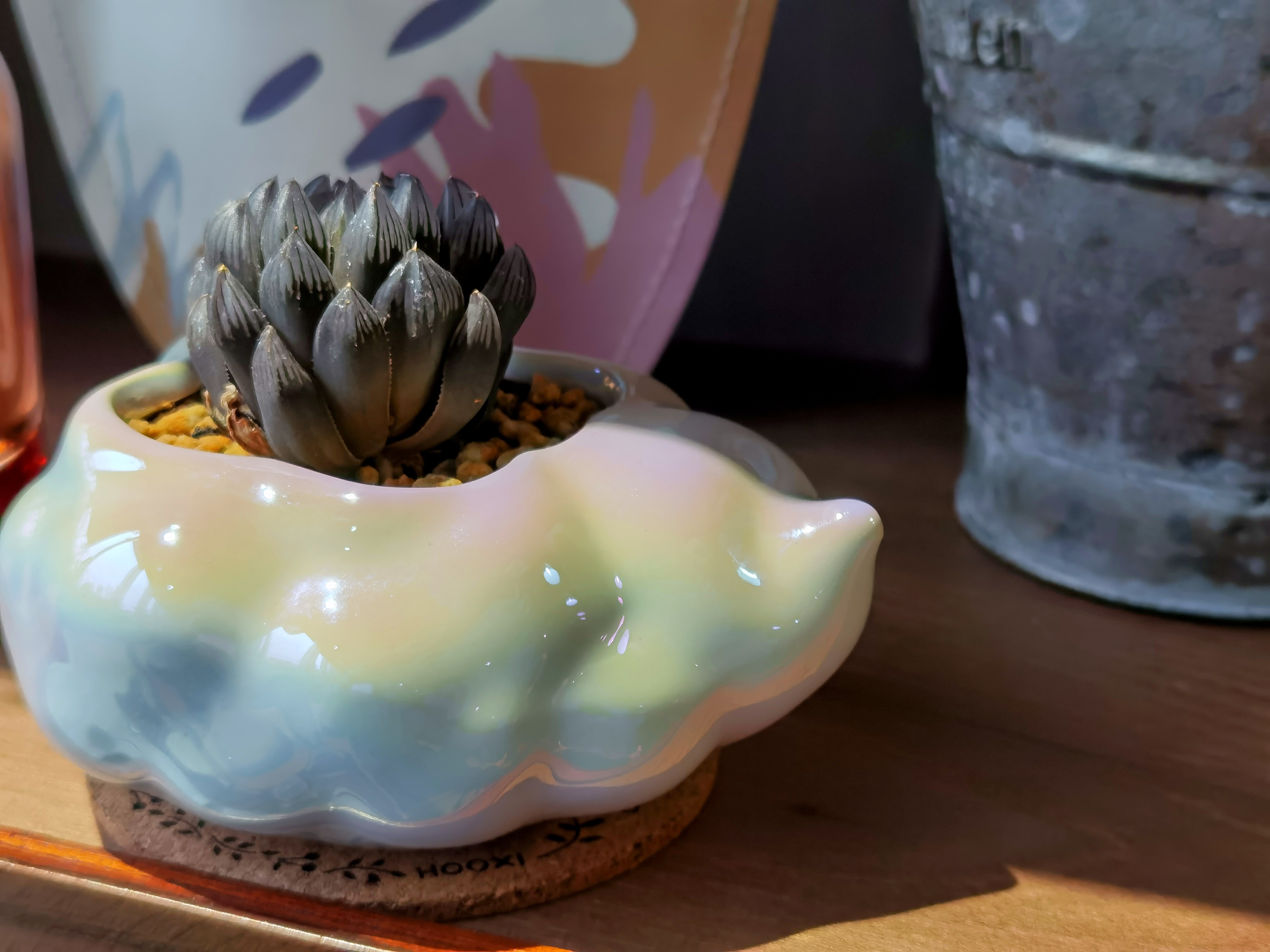 Cultural creation，Flowerpot，Floral apparatus，cloud，Junior Designer，Potted plants，