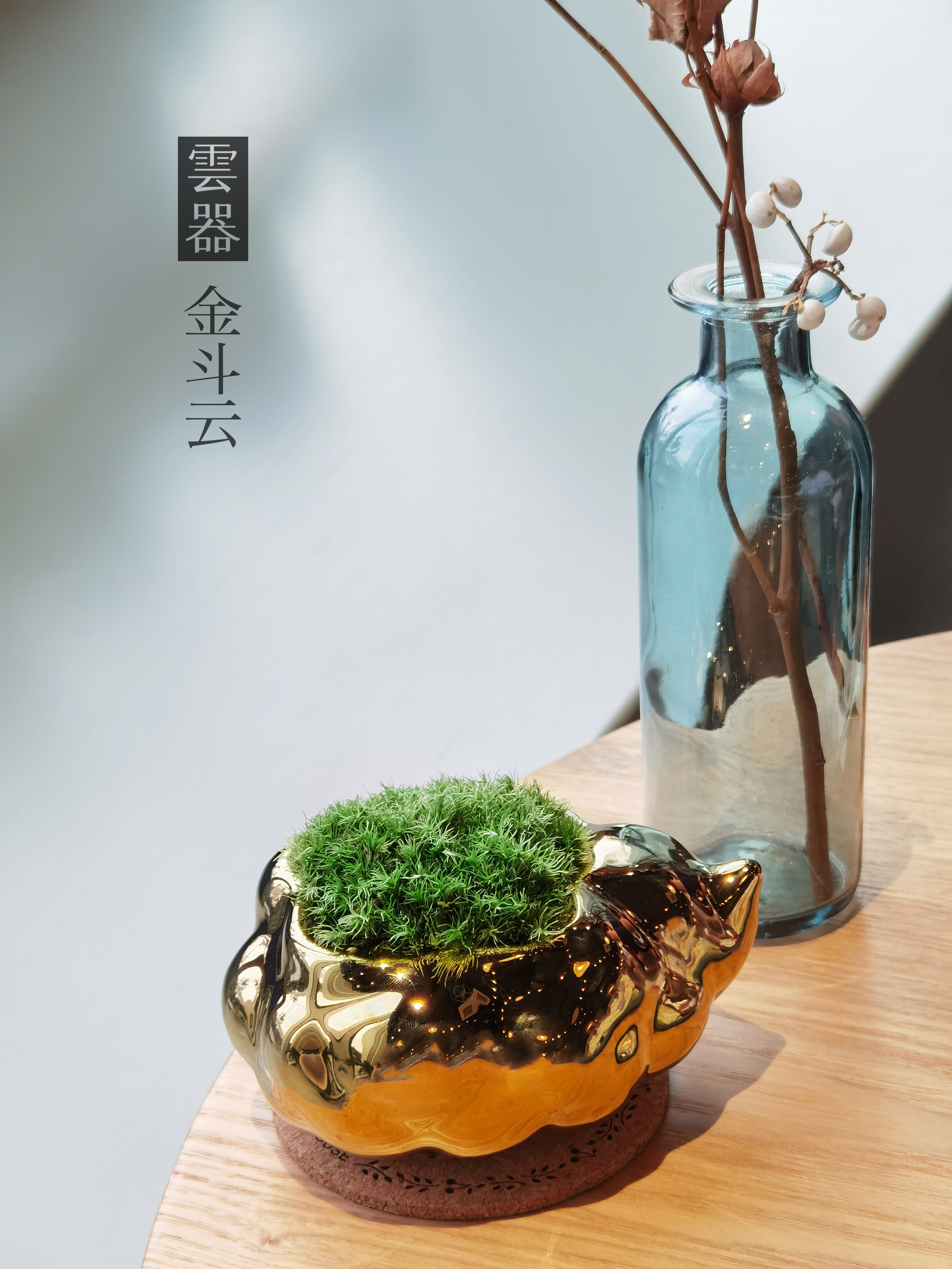 Cultural creation，Flowerpot，Floral apparatus，cloud，Junior Designer，Potted plants，