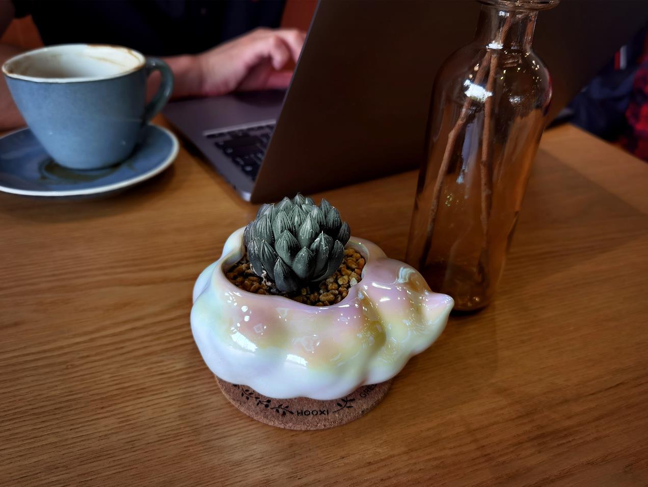 Cultural creation，Flowerpot，Floral apparatus，cloud，Junior Designer，Potted plants，