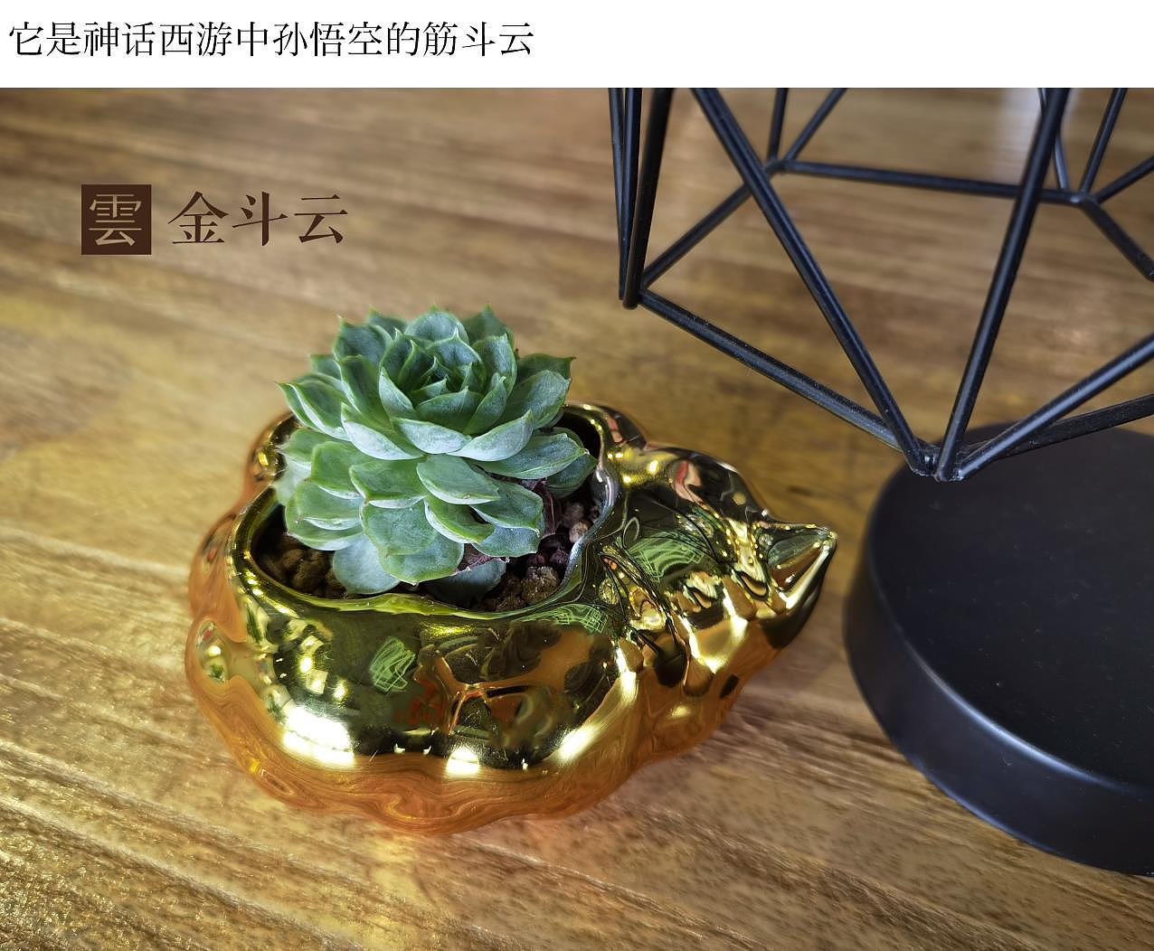 Cultural creation，Flowerpot，Floral apparatus，cloud，Junior Designer，Potted plants，