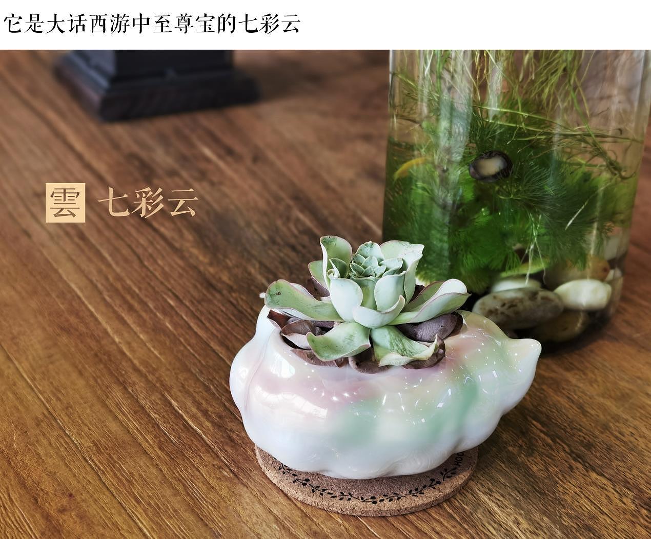 Cultural creation，Flowerpot，Floral apparatus，cloud，Junior Designer，Potted plants，