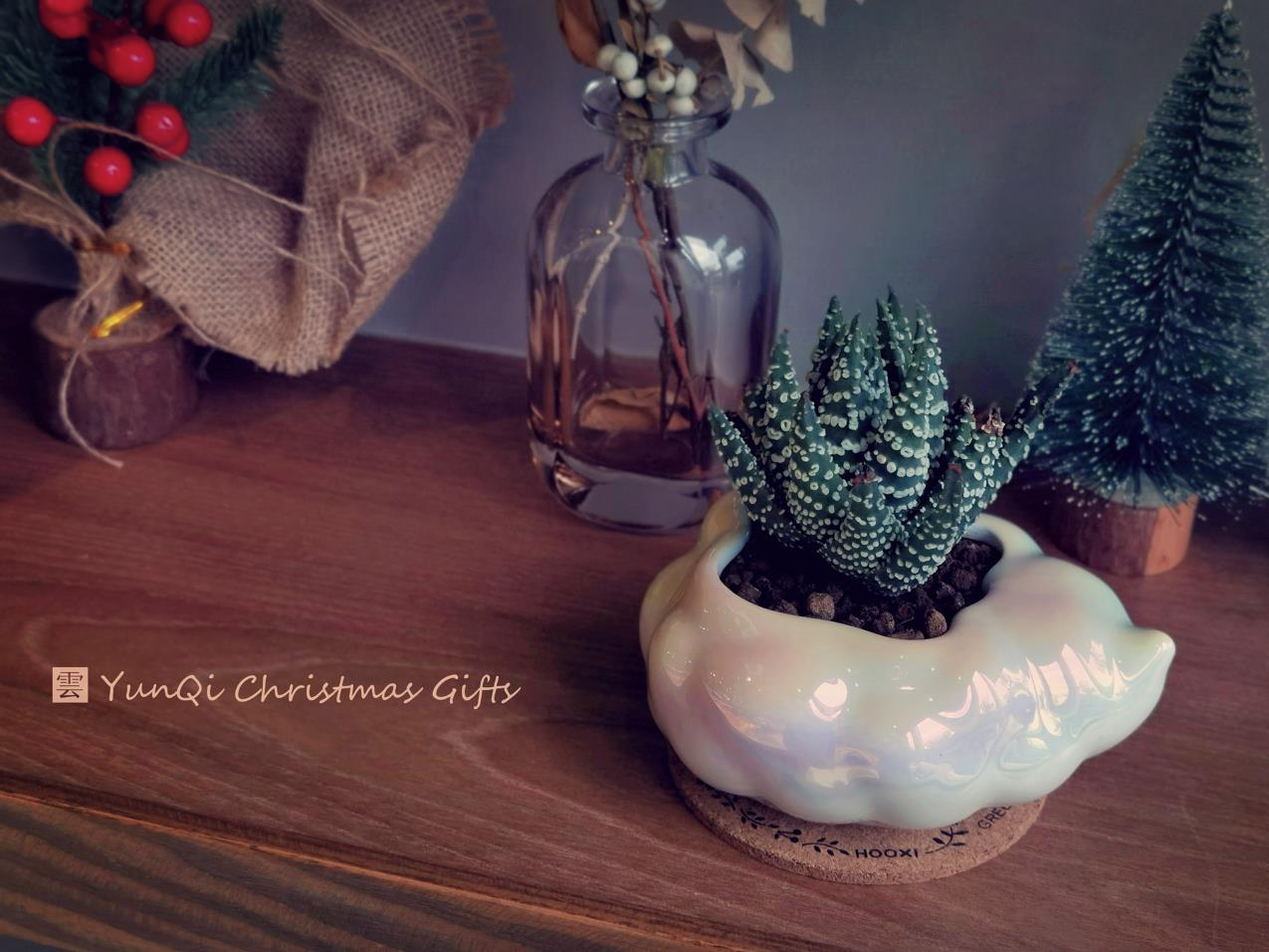 Cultural creation，Flowerpot，Floral apparatus，cloud，Junior Designer，Potted plants，