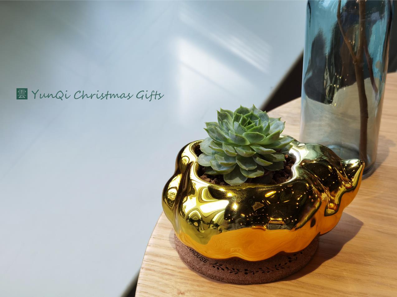 Cultural creation，Flowerpot，Floral apparatus，cloud，Junior Designer，Potted plants，