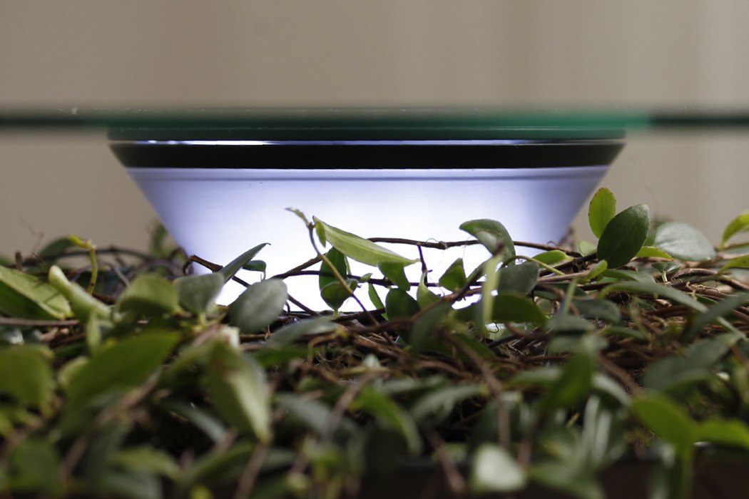 Oasis furniture，natural，Green plant side table，Desk lamp，