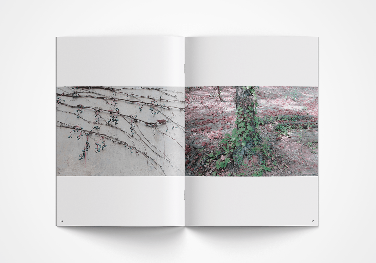 Island Stool，stool，Toys，