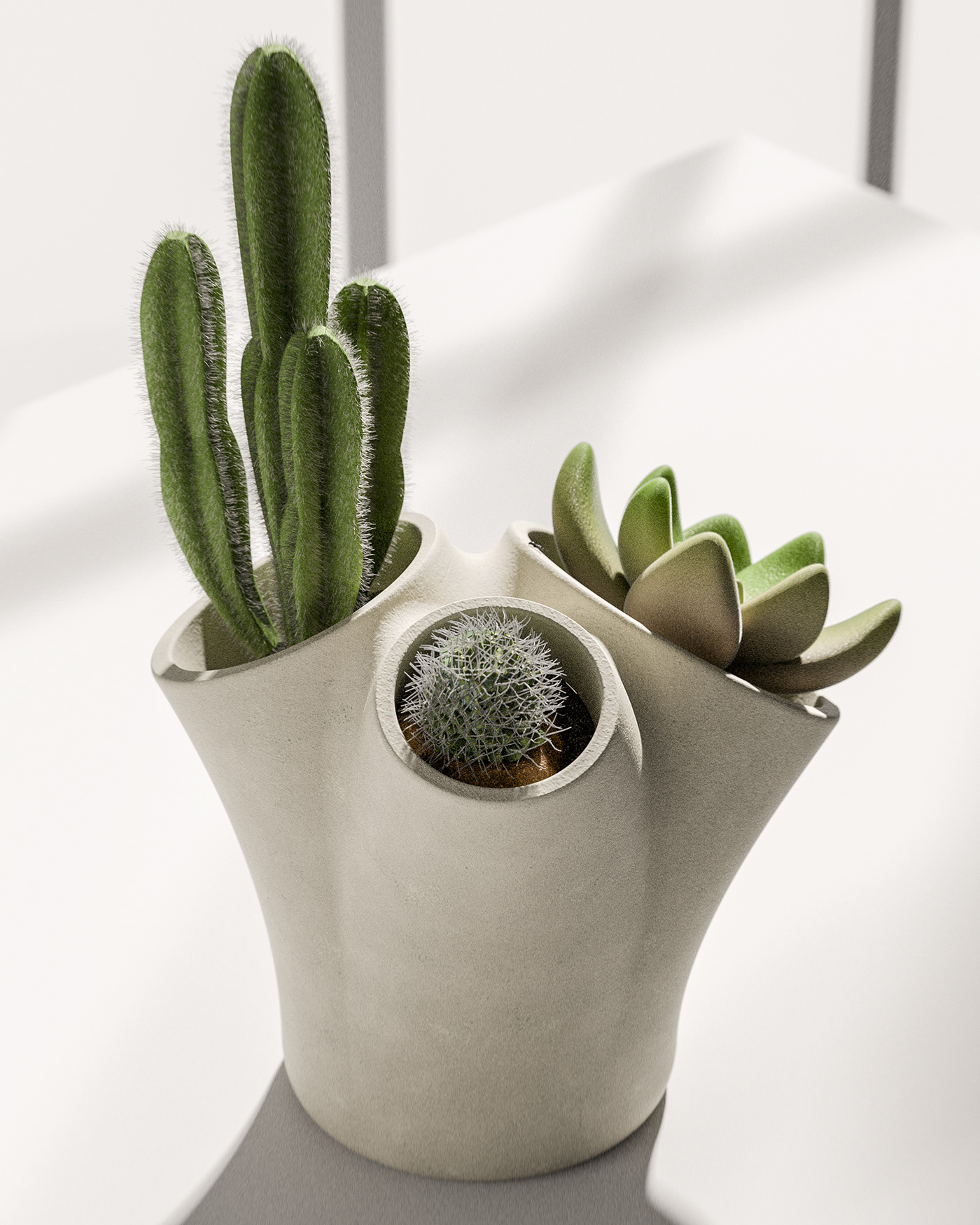 Potted plants，Botany，CACTUS，Ornaments，