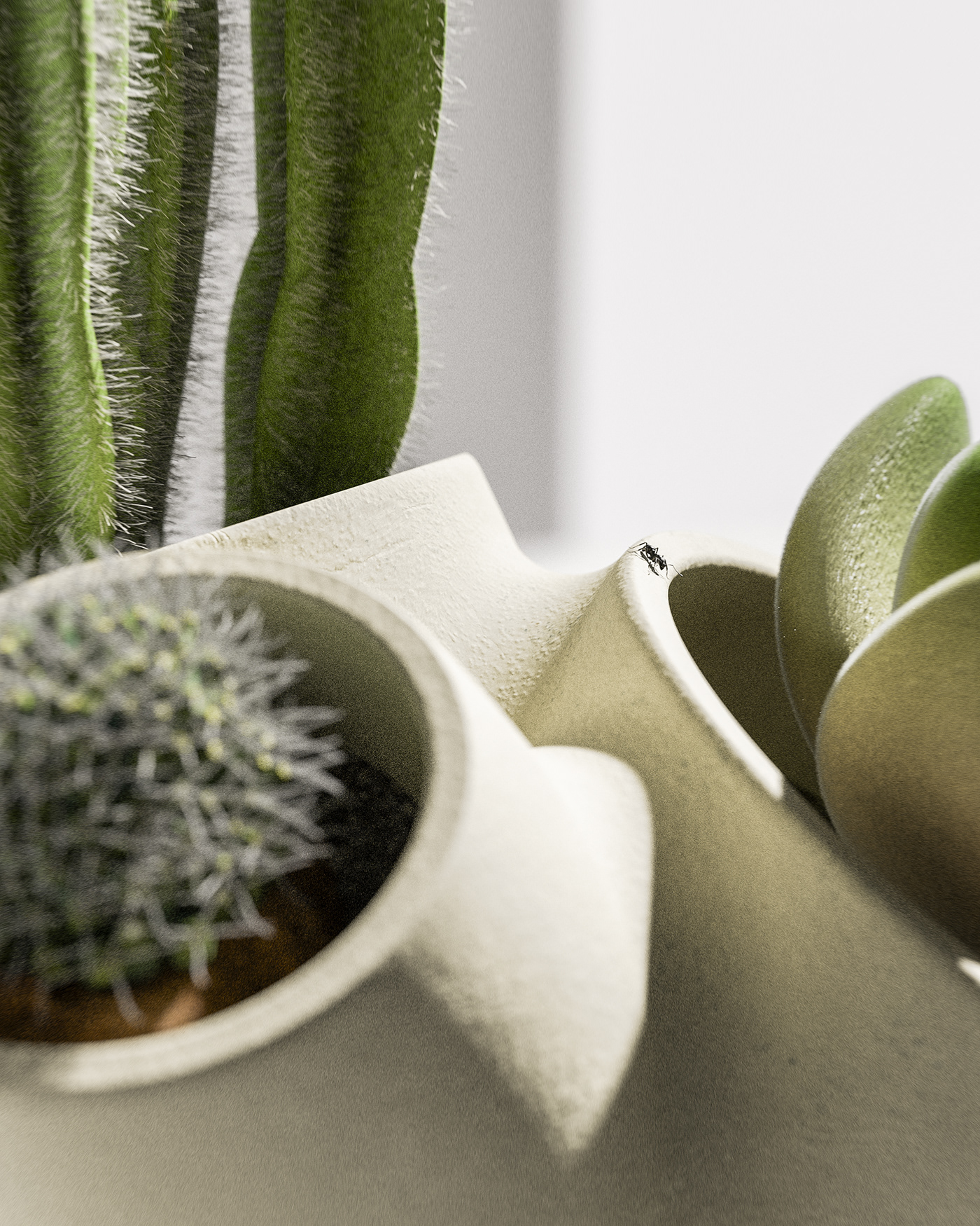 Potted plants，Botany，CACTUS，Ornaments，