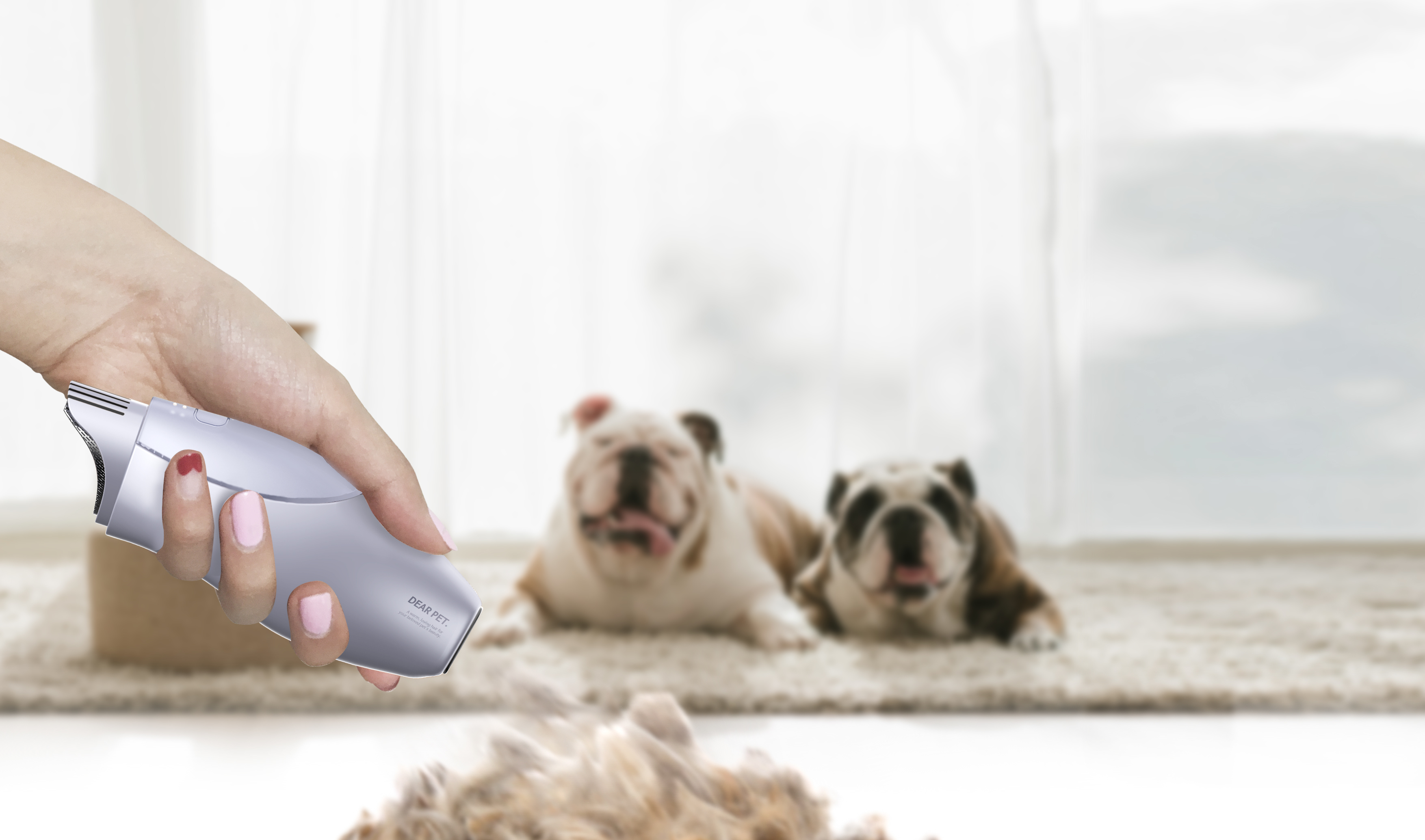 Pet Supplies & Pet，Haircut push，Barber tools，Shaving knife，lovely，