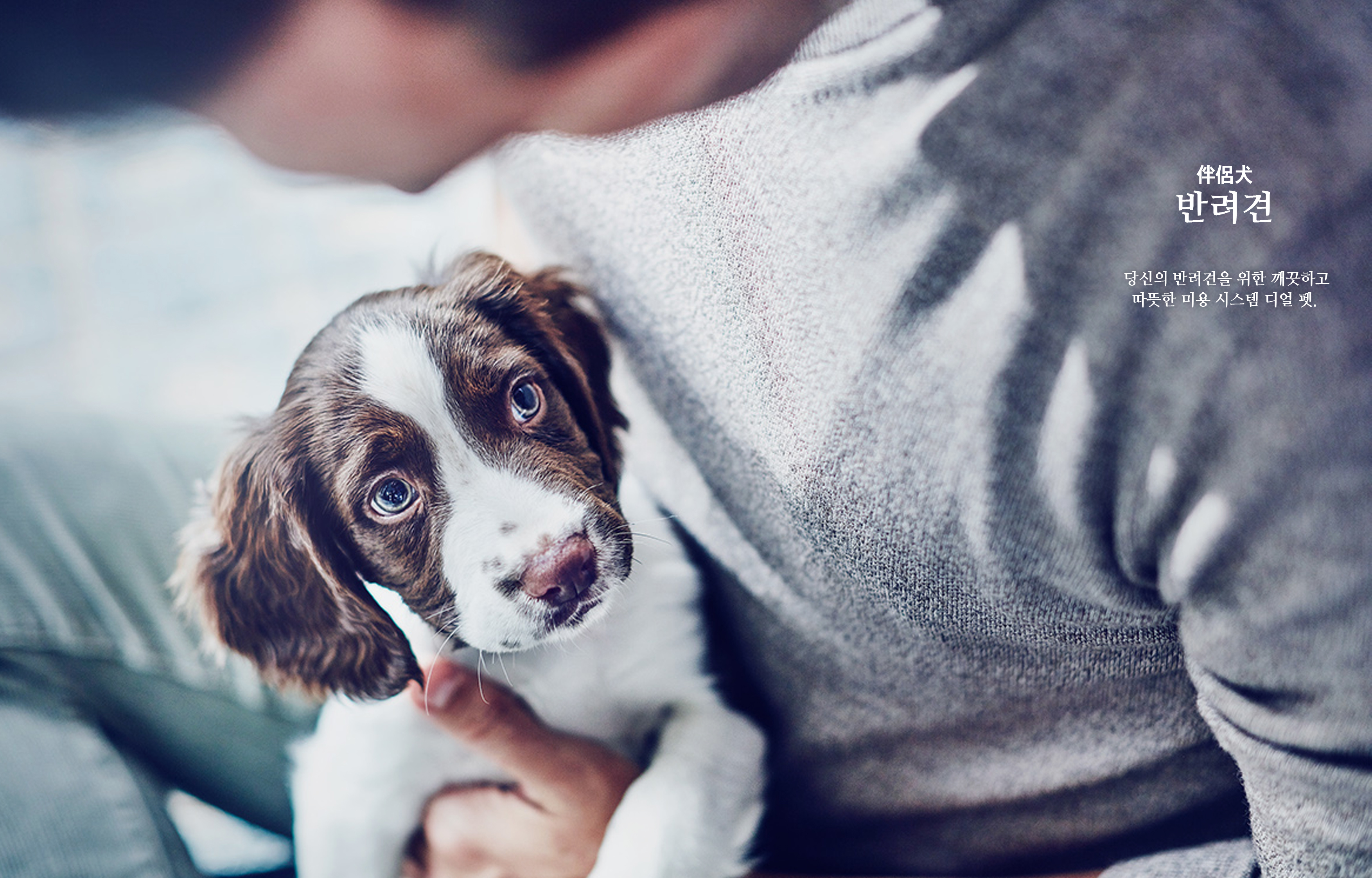 Pet Supplies & Pet，Haircut push，Barber tools，Shaving knife，lovely，