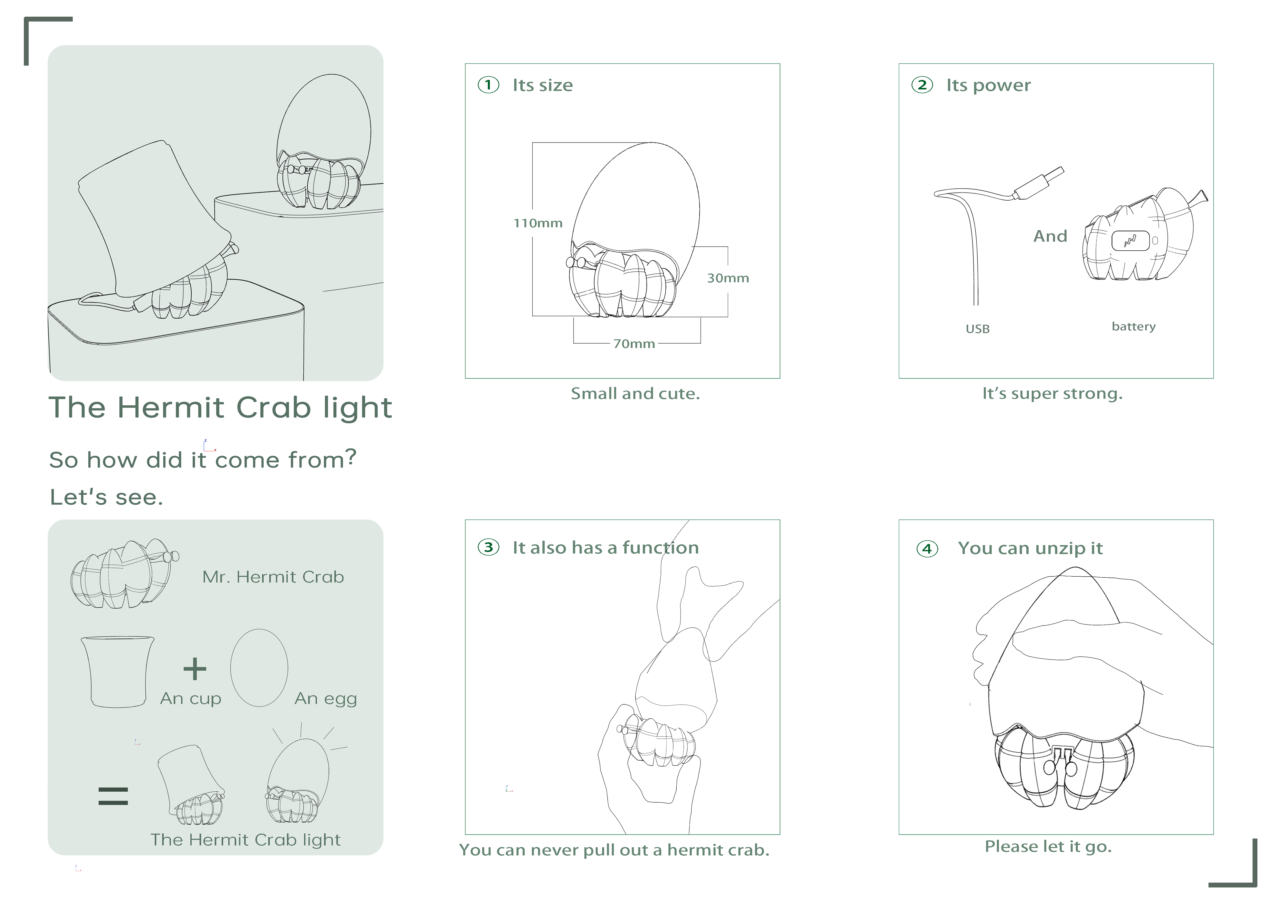 Night light，hermit crab，Night light，