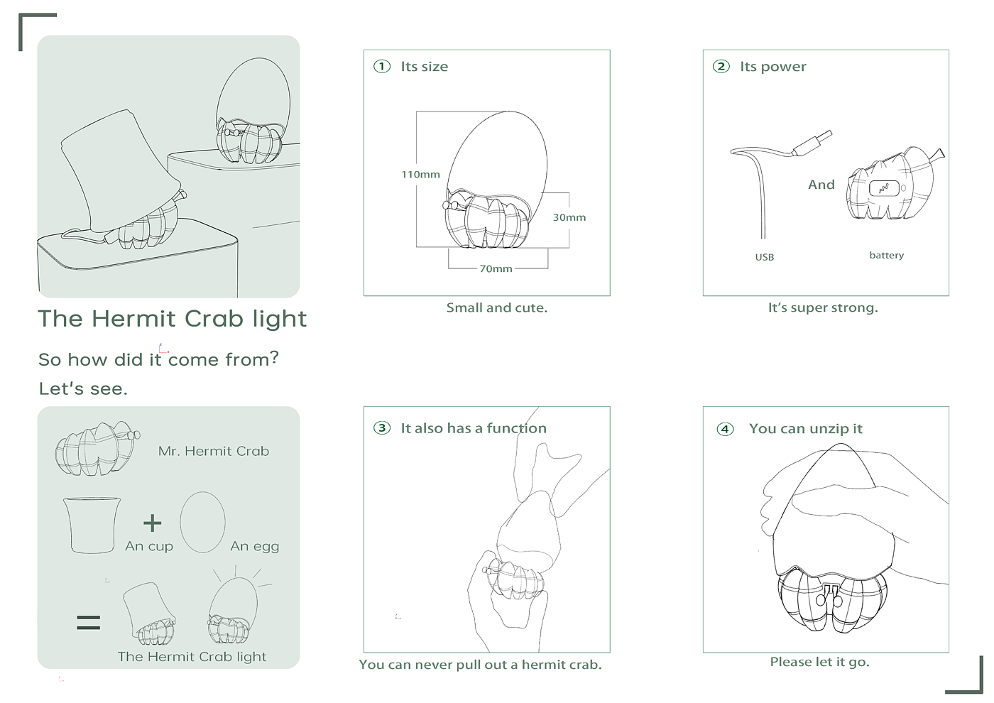 Night light，hermit crab，Night light，