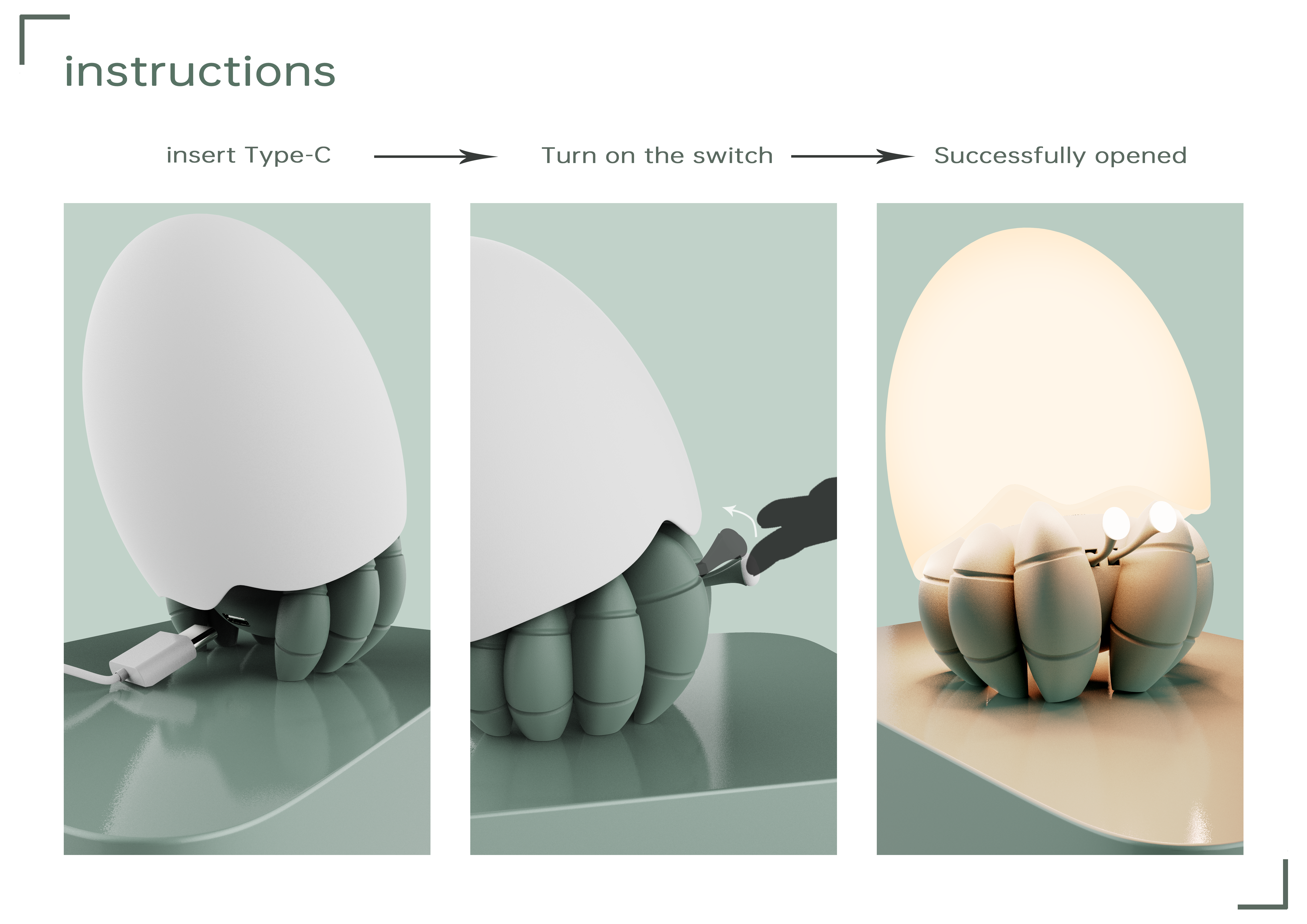 Night light，hermit crab，Night light，