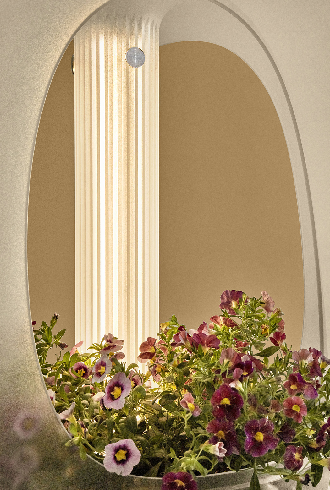 EVA，Hydroponic device，planter，originality，