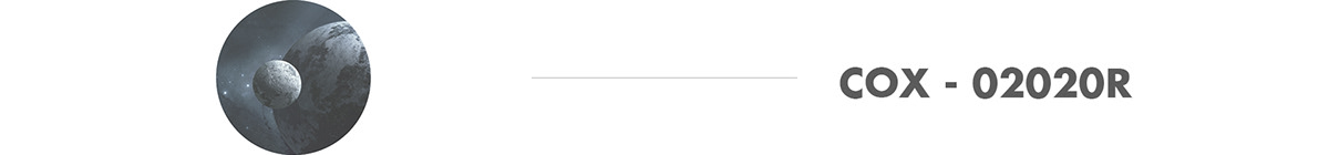 cat，nest，Pets，planet，