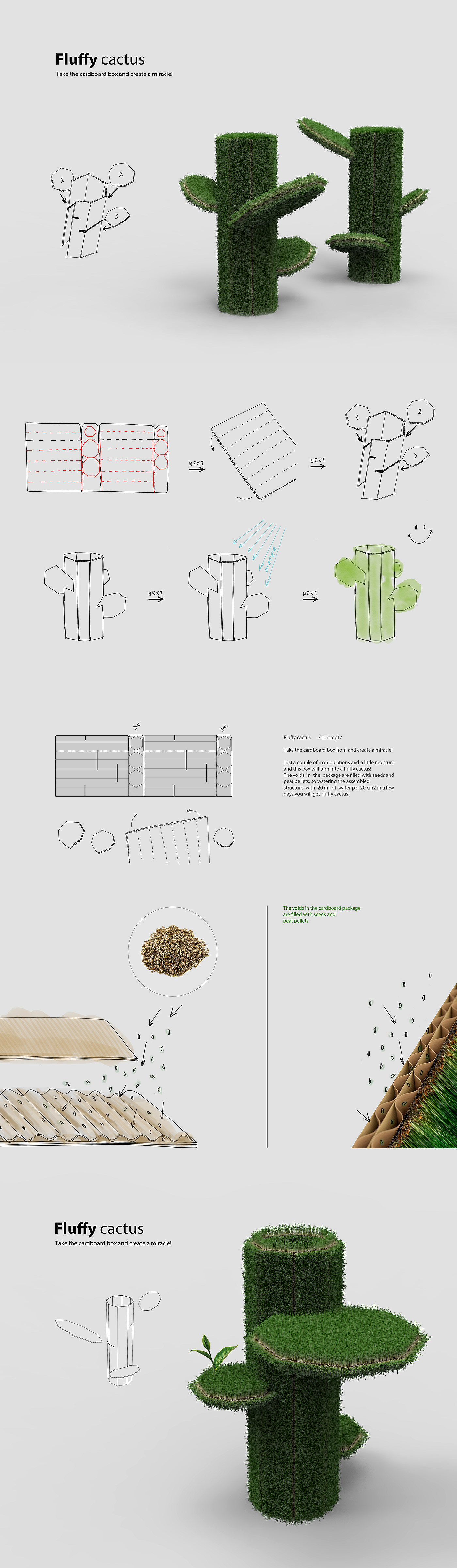 cactus，cardboard，fluffy，