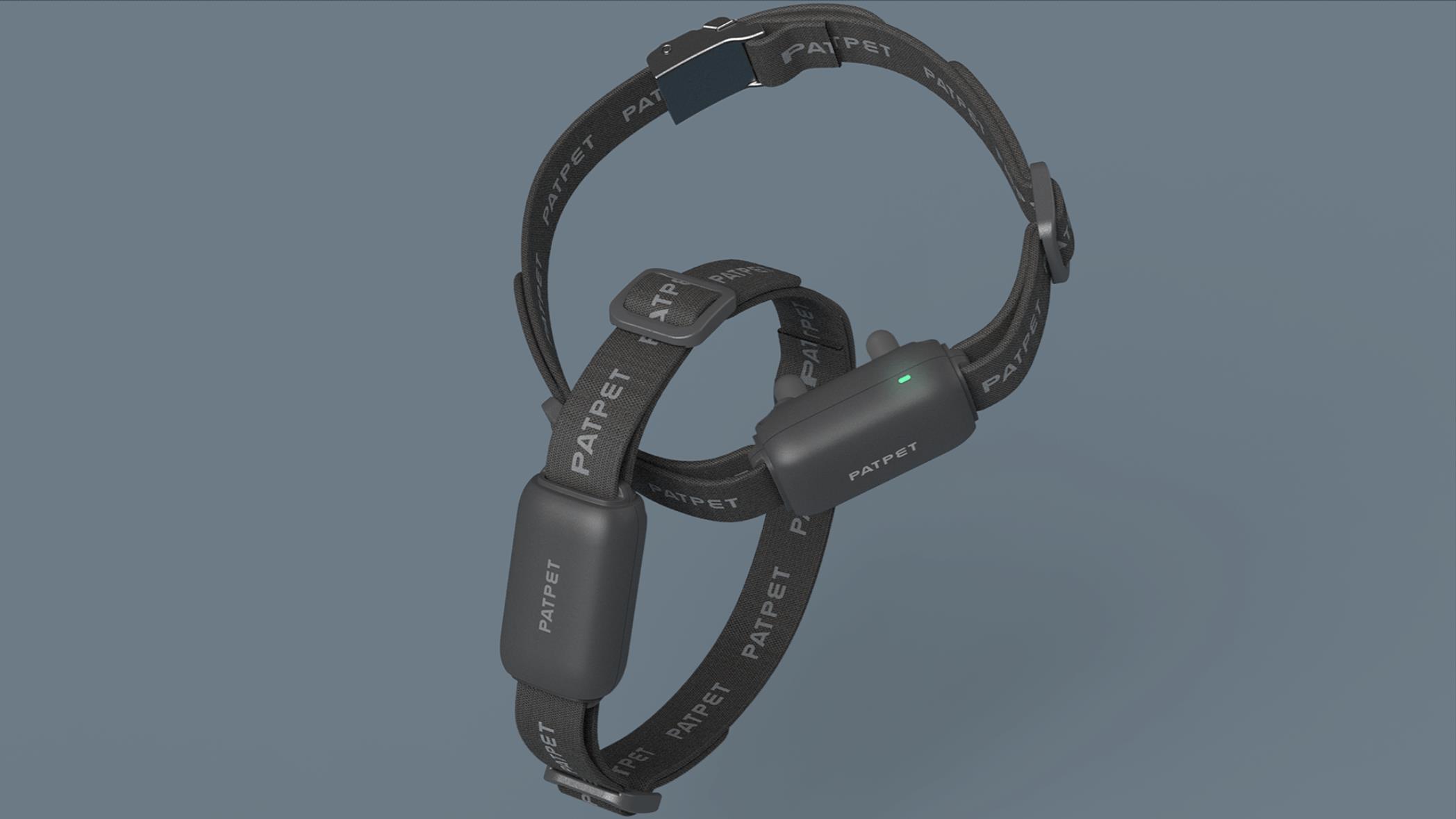 Pets，dog，Home Furnishing，intelligence，