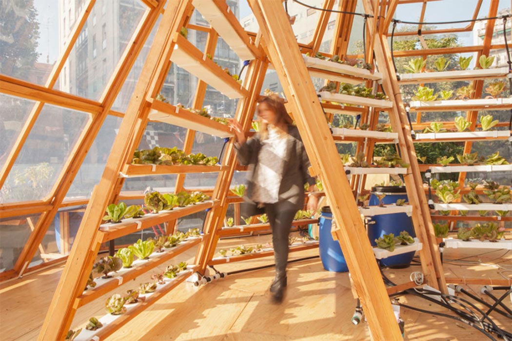 float，greenhouse，foodstuff，