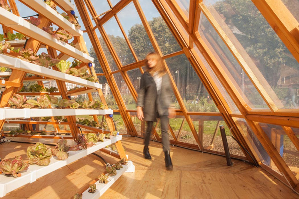 float，greenhouse，foodstuff，