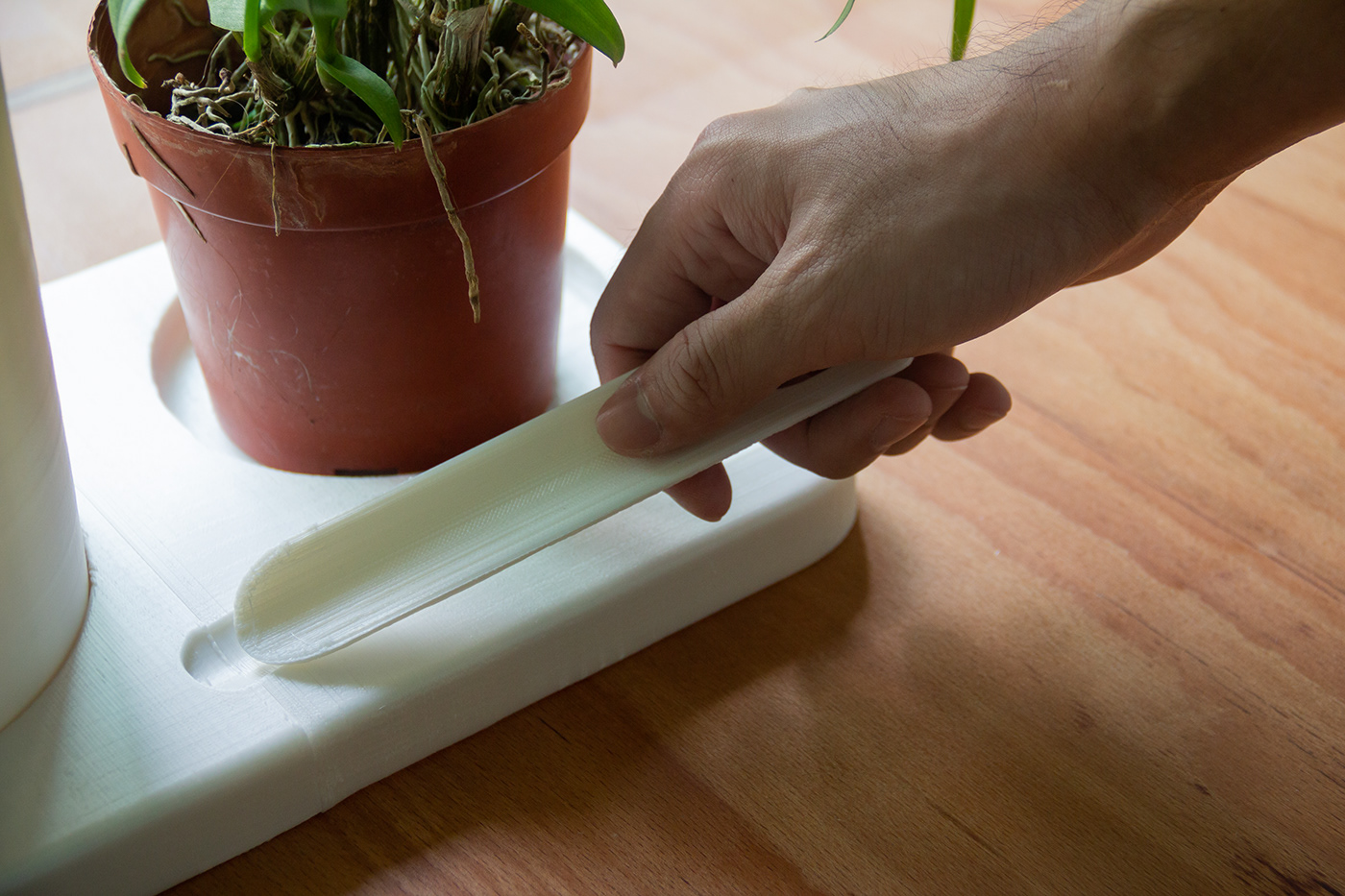 compost，Kit，introduction，gardening，sustainable development，