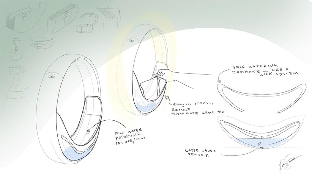 Botany，garden，intelligence，miniature，