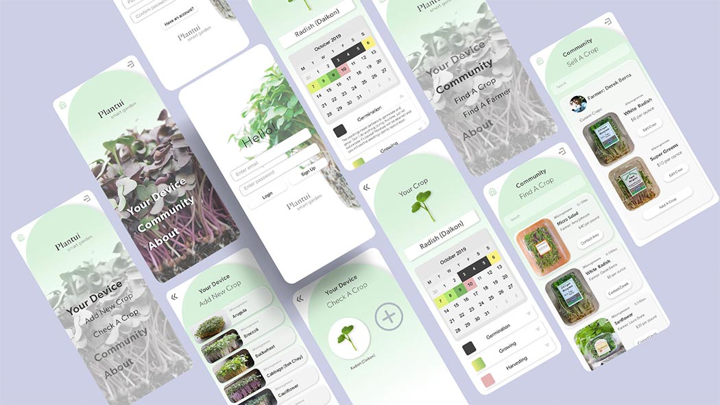 Botany，garden，intelligence，miniature，