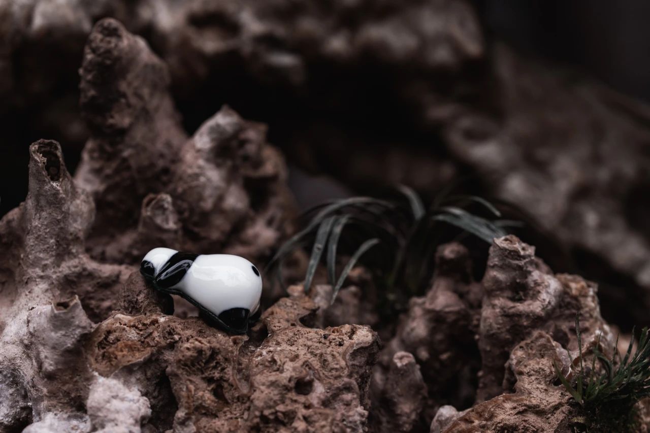 Floral apparatus，Fragrant plug，wooden ，ceramics，panda，