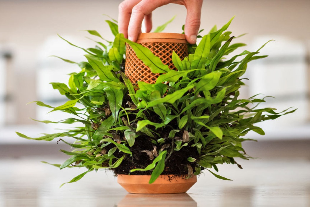 seeder，indoor，green，Botany，led，