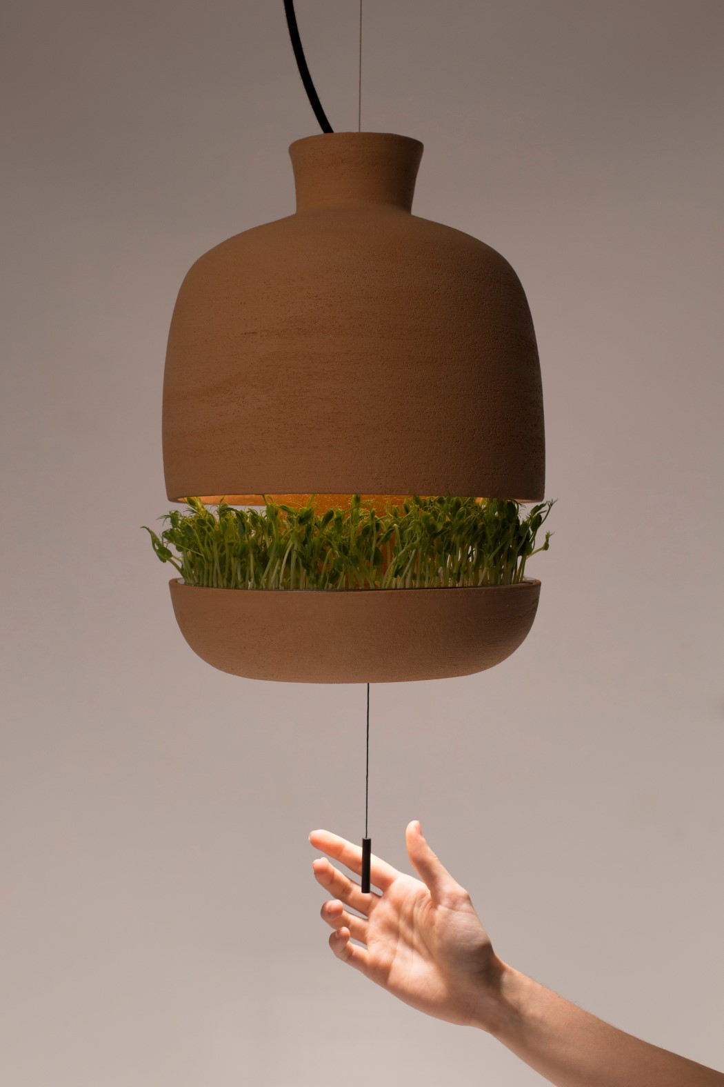 seeder，indoor，green，Botany，led，