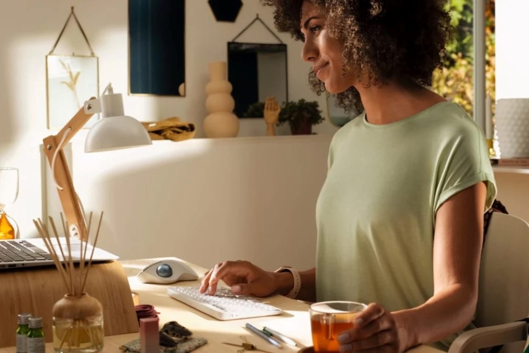 cursor，track ball，mouse，