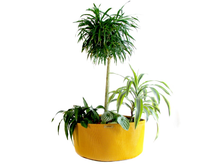 Plastic flowerpot，durable，solid，ventilation，inspiration，