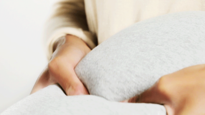 OSTRICHPILLOW，hot-water bag，Hand warmer，Creative design，