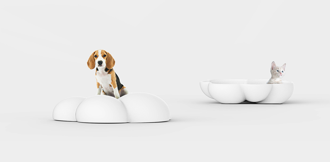 Beyond the cloud，Pet appliance ，