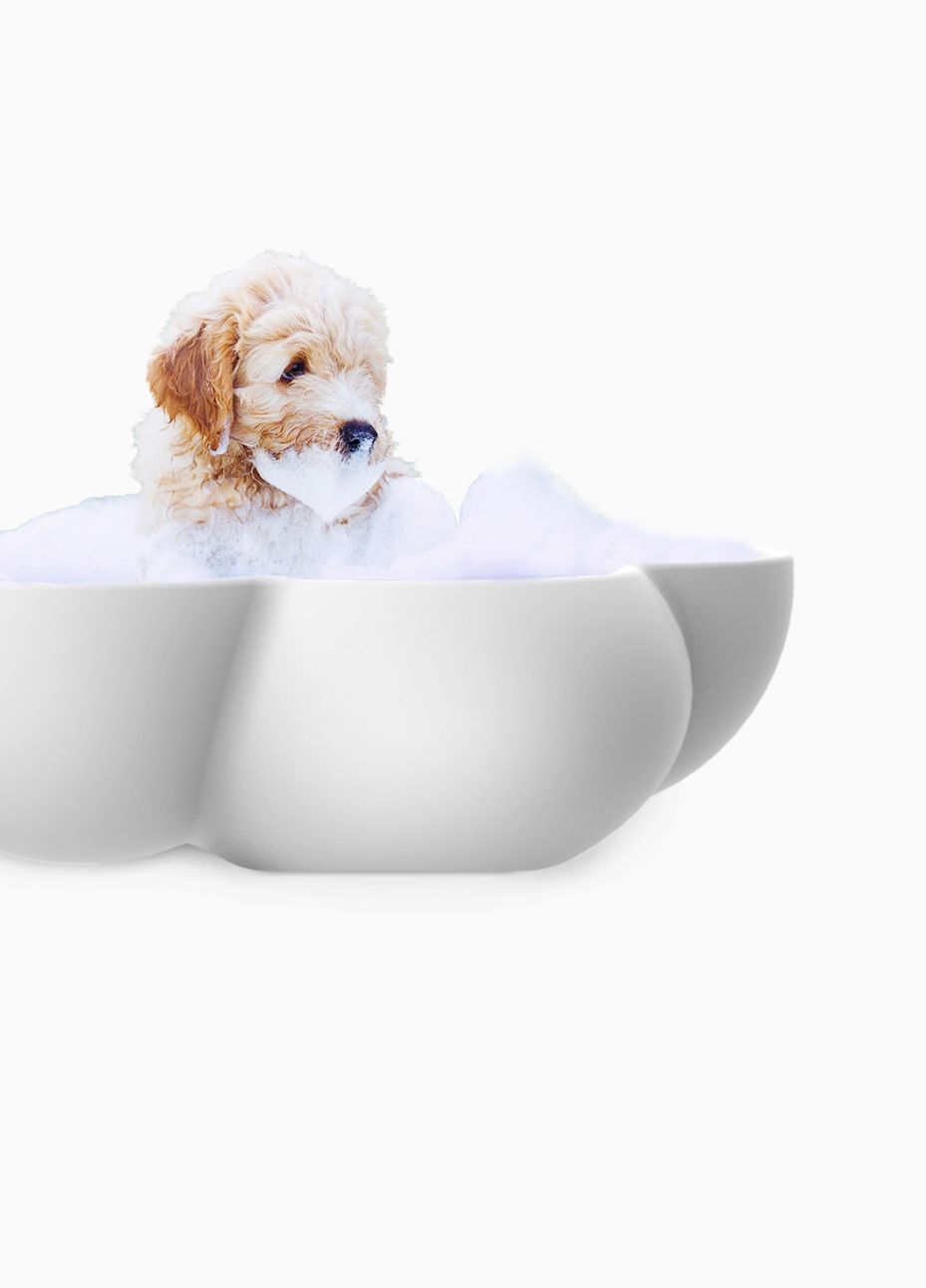 Beyond the cloud，Pet appliance ，