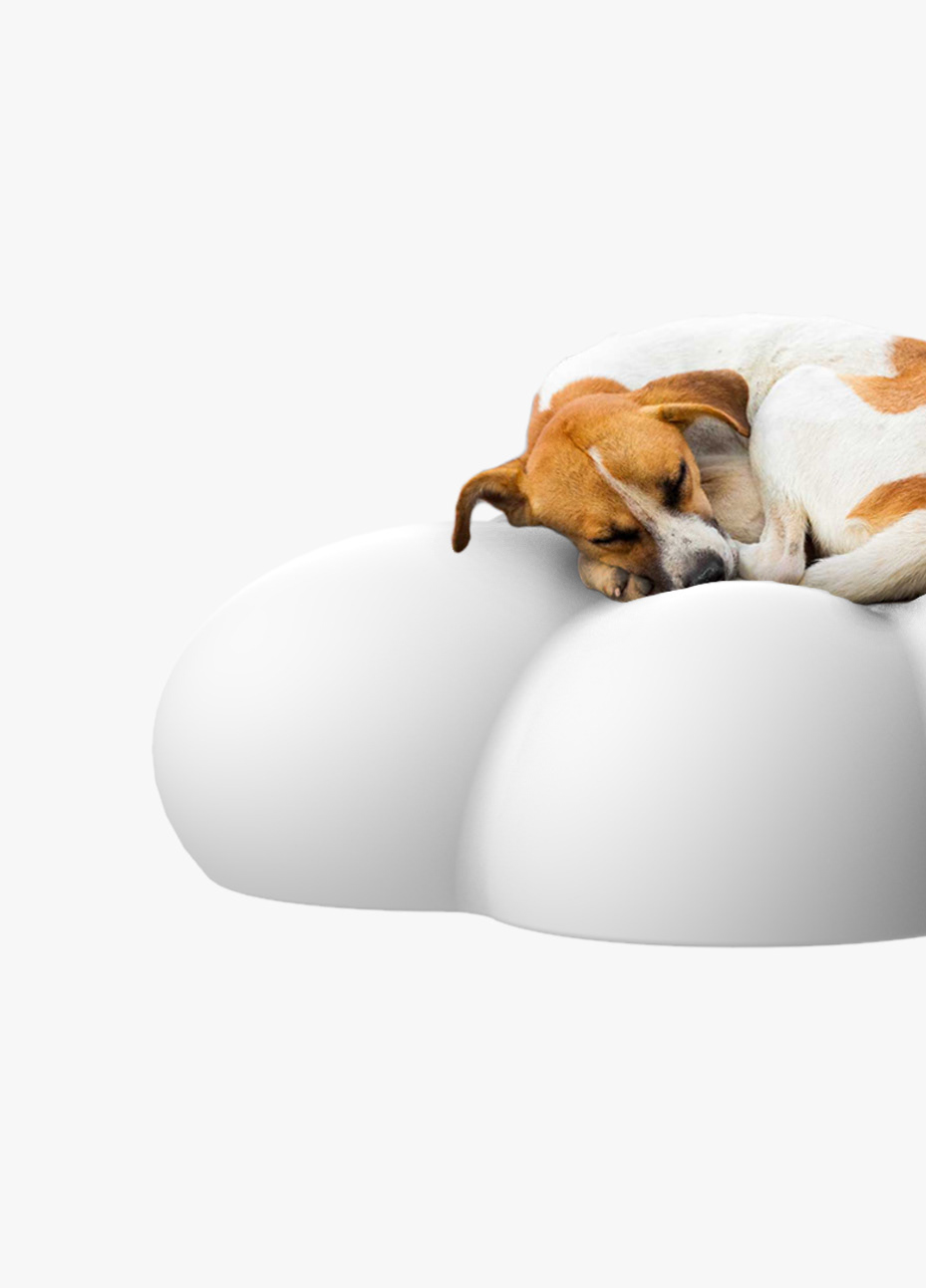 Beyond the cloud，Pet appliance ，