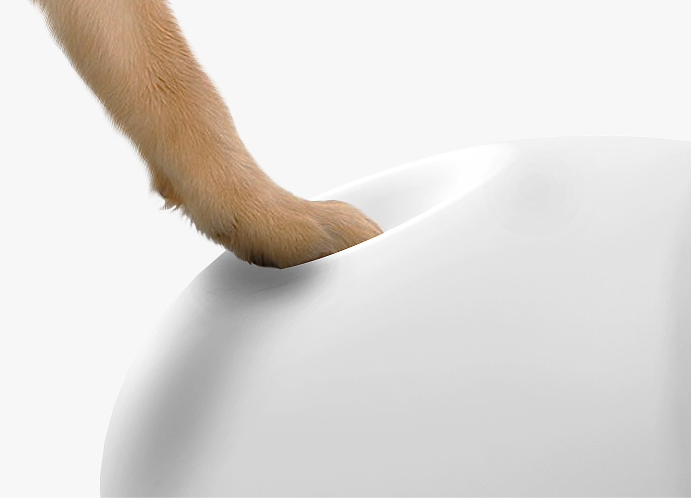 Beyond the cloud，Pet appliance ，