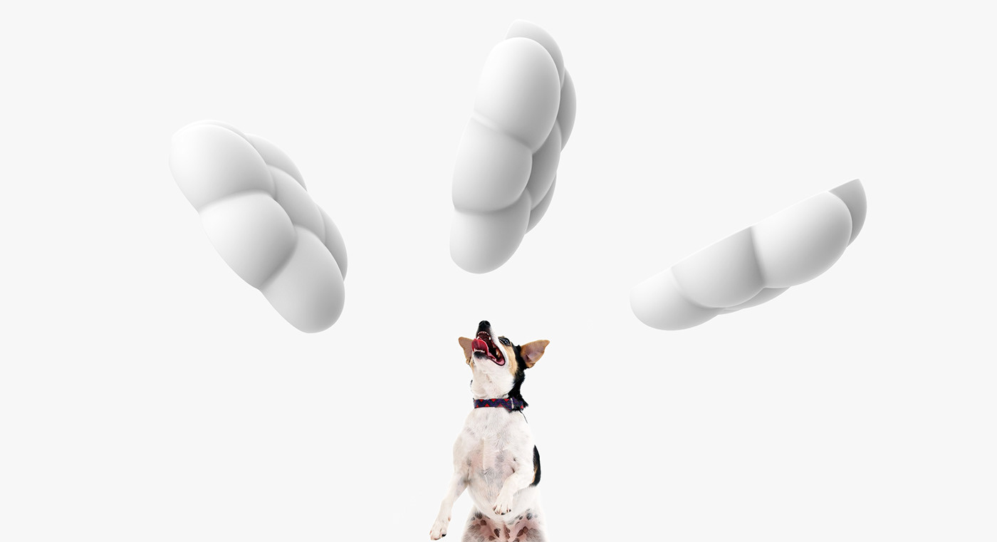 Beyond the cloud，Pet appliance ，