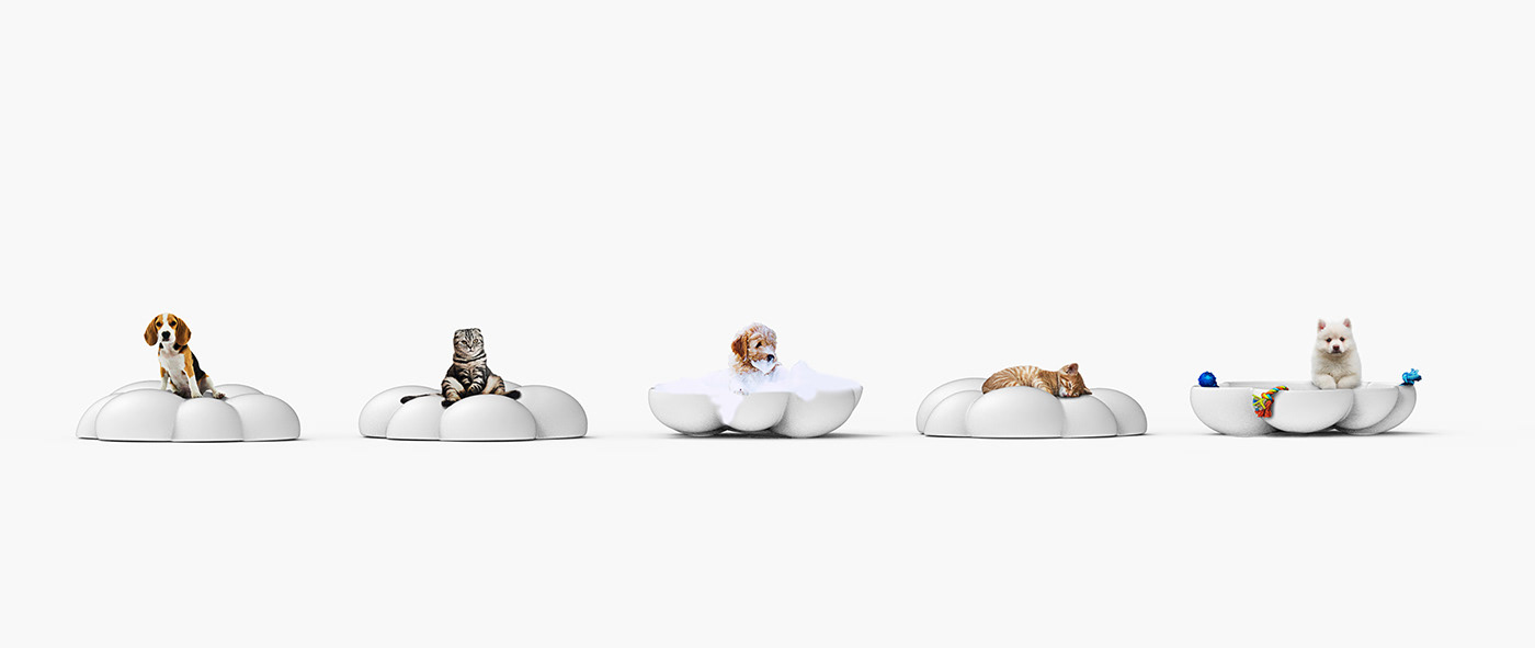 Beyond the cloud，Pet appliance ，