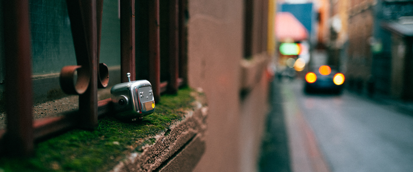 branch，Toys，Metal，