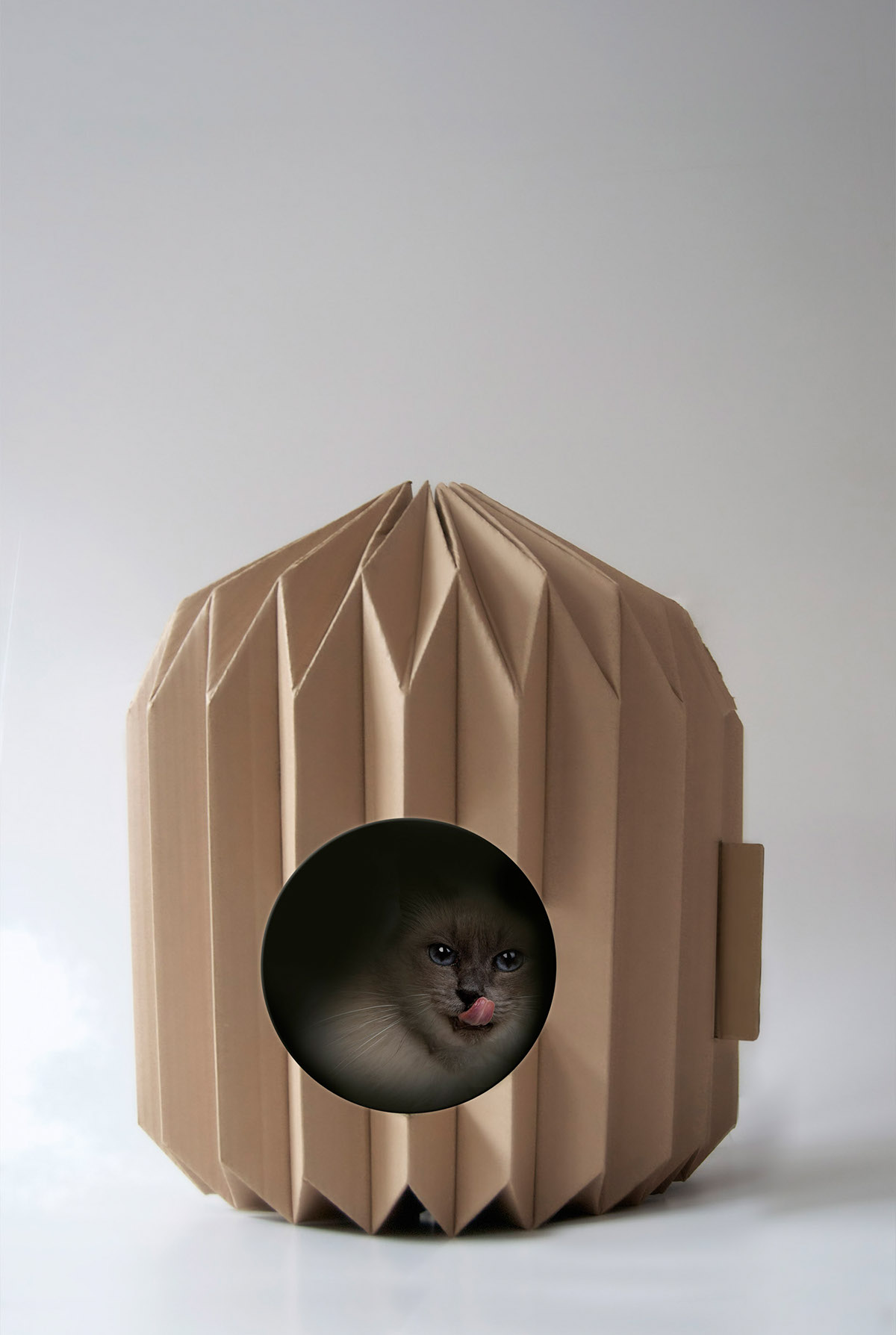 MIHO，Cat nest，Pet Supplies & Pet，originality，