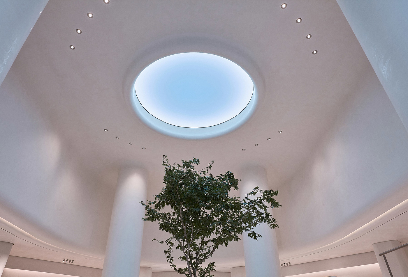 skylight，led，circular，Lighting device，