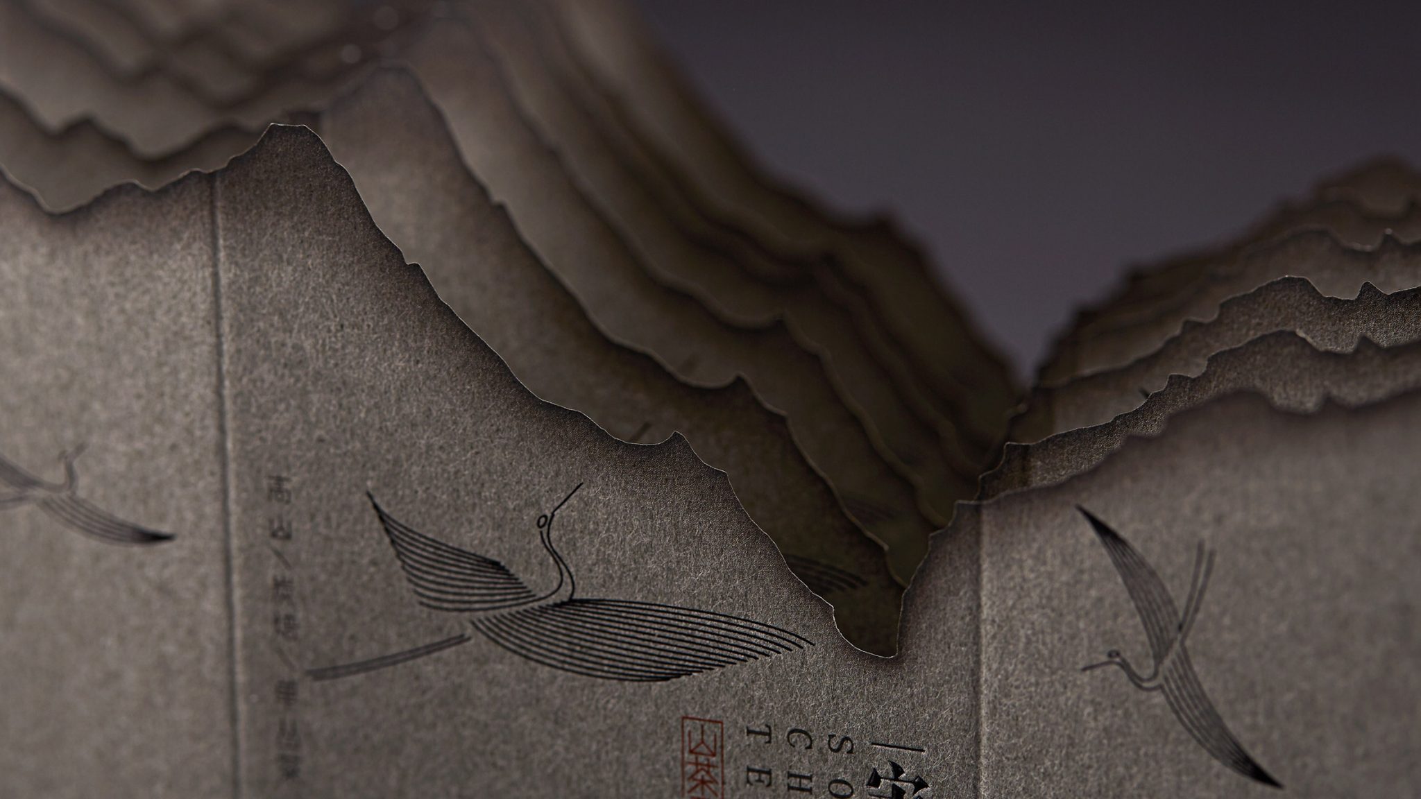 tea，Song dynasty，packing，Burn paper，