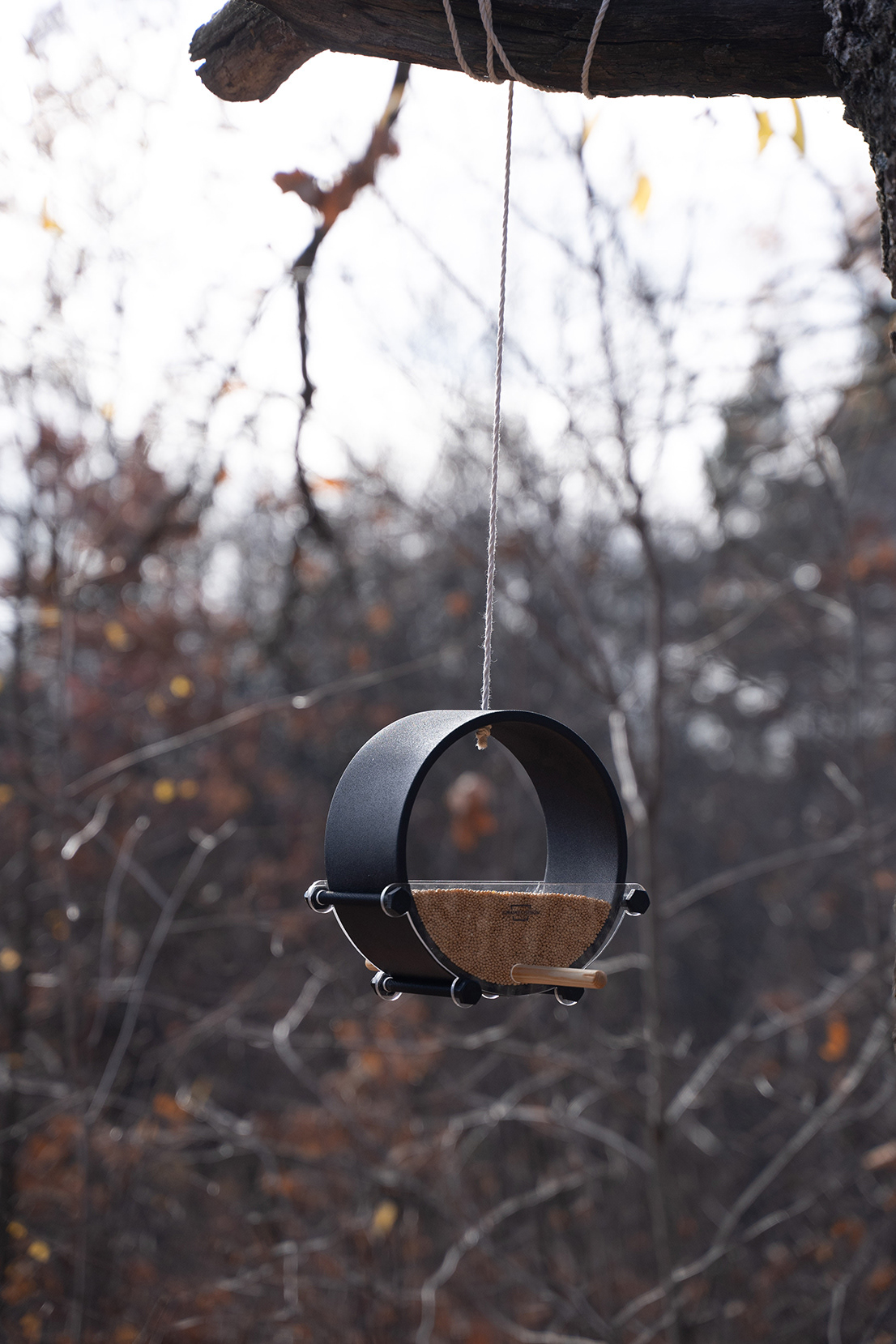 Maverick，Bird feeder，Minimalism，Landscape design，